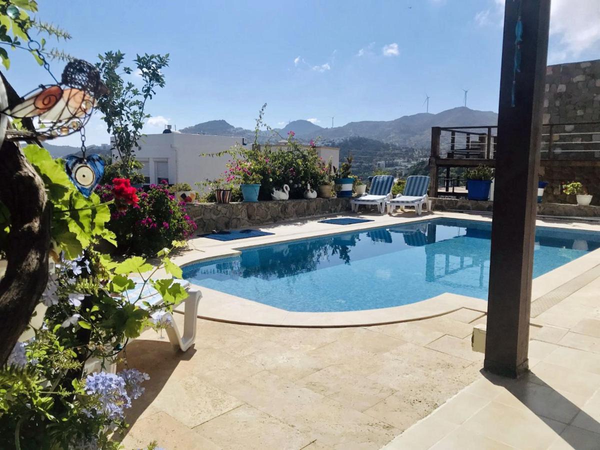 Villa Priene - Gumusluk Private Pool Extérieur photo