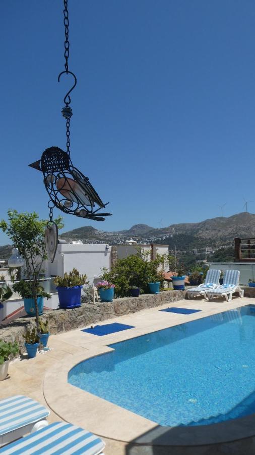 Villa Priene - Gumusluk Private Pool Extérieur photo