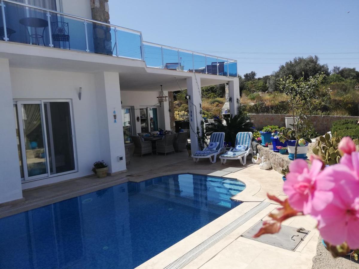Villa Priene - Gumusluk Private Pool Extérieur photo