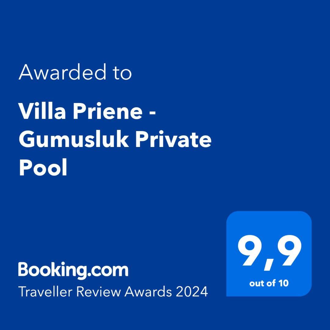 Villa Priene - Gumusluk Private Pool Extérieur photo